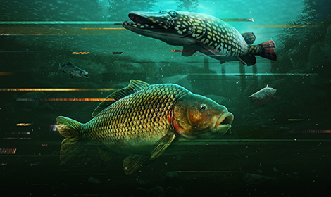 Zasekněte rybu ve sběratelské edici sportovní simulace The Catch: Carp & Coarse!