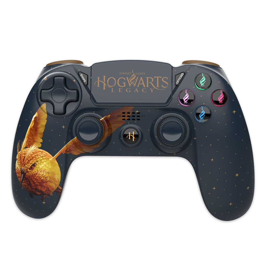 Herní ovladač s motivem Hogwarts Legacy – Golden Snidget